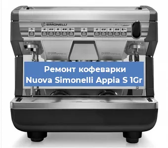 Чистка кофемашины Nuova Simonelli Appia S 1Gr от накипи в Екатеринбурге